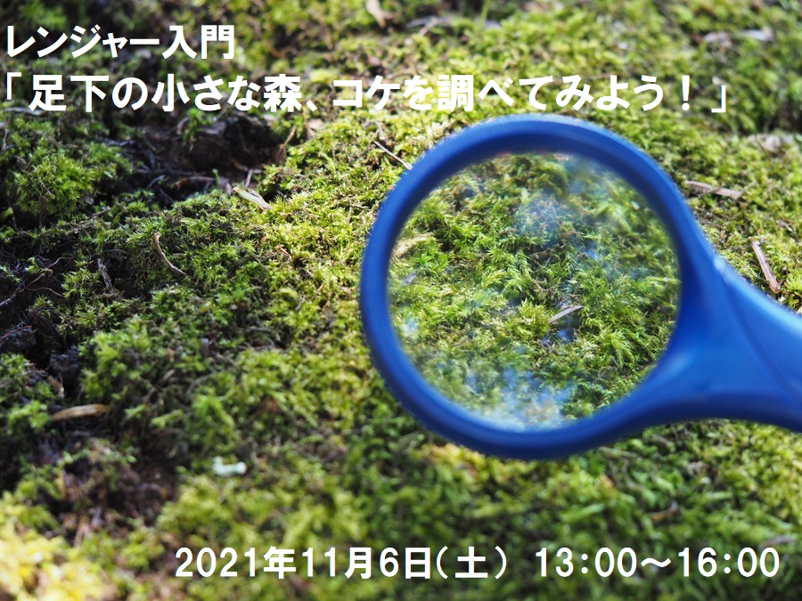 レンジャー入門「足下の小さな森、コケを調べてみよう！」